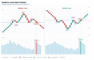 How It Works and How to Read It